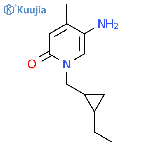 5-amino-1-(2-ethylcyclopropyl)methyl-4-methyl-1,2-dihydropyridin-2-one structure