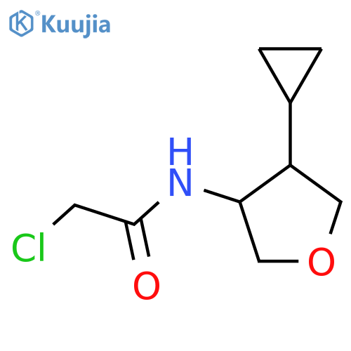 2-chloro-N-(4-cyclopropyloxolan-3-yl)acetamide structure