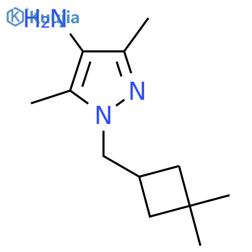 1-(3,3-dimethylcyclobutyl)methyl-3,5-dimethyl-1H-pyrazol-4-amine structure