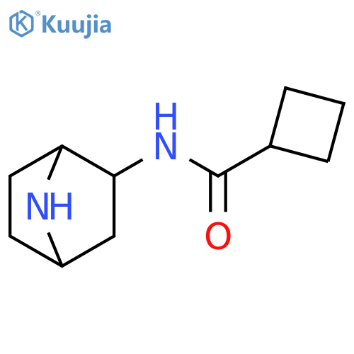 Cyclobutanecarboxamide, N-7-azabicyclo[2.2.1]hept-2-yl- structure