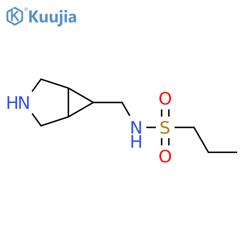 N-({3-azabicyclo[3.1.0]hexan-6-yl}methyl)propane-1-sulfonamide structure