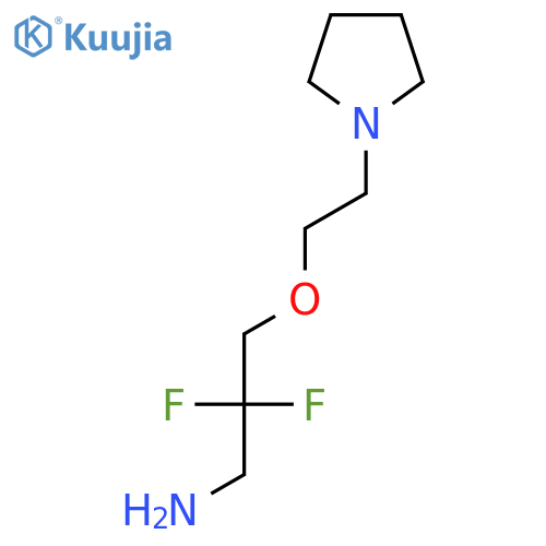 2,2-Difluoro-3-[2-(pyrrolidin-1-yl)ethoxy]propan-1-amine structure