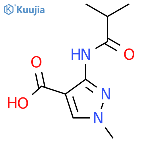 1-methyl-3-(2-methylpropanamido)-1H-pyrazole-4-carboxylic acid structure