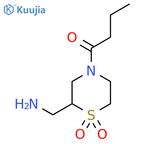 2-(Aminomethyl)-4-butanoyl-1lambda6-thiomorpholine-1,1-dione structure