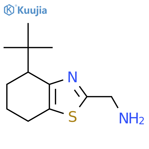(4-Tert-butyl-4,5,6,7-tetrahydro-1,3-benzothiazol-2-yl)methanamine structure