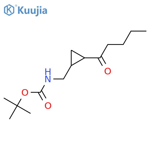 tert-butyl N-[(2-pentanoylcyclopropyl)methyl]carbamate structure