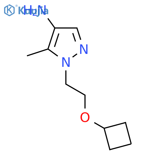 1-(2-cyclobutoxyethyl)-5-methyl-1H-pyrazol-4-amine structure