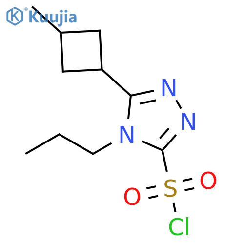 4H-1,2,4-Triazole-3-sulfonyl chloride, 5-(3-methylcyclobutyl)-4-propyl- structure