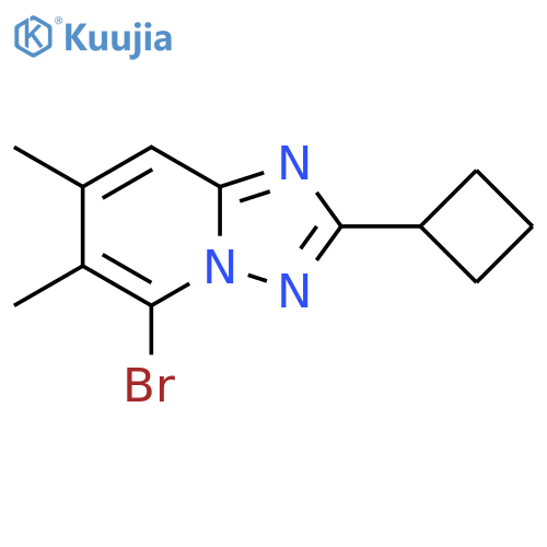 5-bromo-2-cyclobutyl-6,7-dimethyl-1,2,4triazolo1,5-apyridine structure