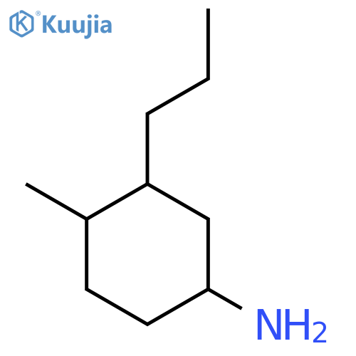 4-Methyl-3-propylcyclohexan-1-amine structure