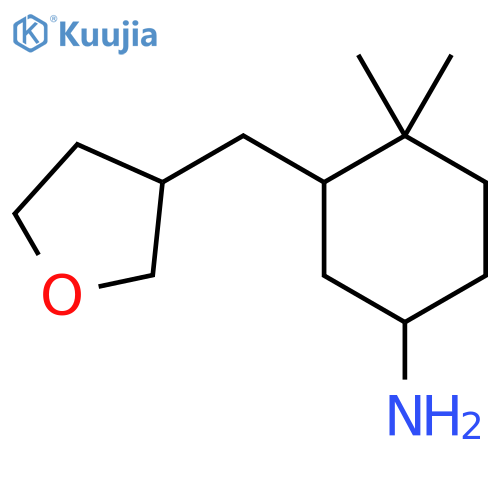 4,4-Dimethyl-3-[(oxolan-3-yl)methyl]cyclohexan-1-amine structure