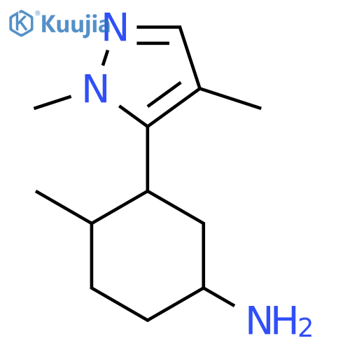 3-(1,4-dimethyl-1H-pyrazol-5-yl)-4-methylcyclohexan-1-amine structure