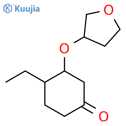 4-Ethyl-3-(oxolan-3-yloxy)cyclohexan-1-one structure