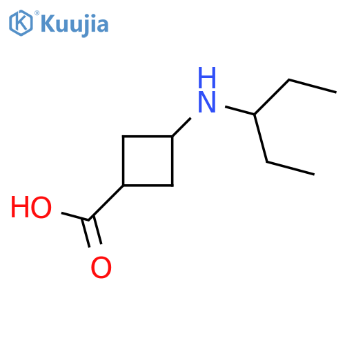 3-(pentan-3-yl)aminocyclobutane-1-carboxylic acid structure