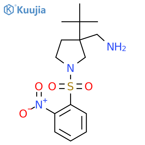 1-[3-Tert-butyl-1-(2-nitrobenzenesulfonyl)pyrrolidin-3-yl]methanamine structure
