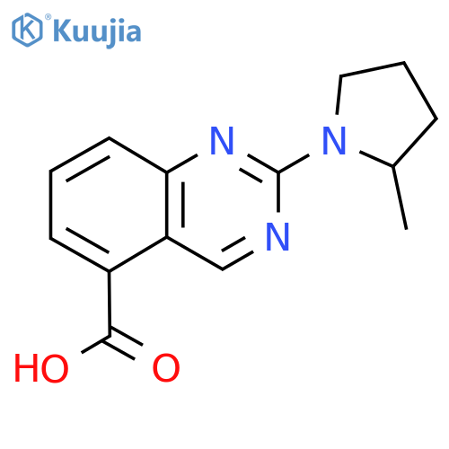2-(2-methylpyrrolidin-1-yl)quinazoline-5-carboxylic acid structure