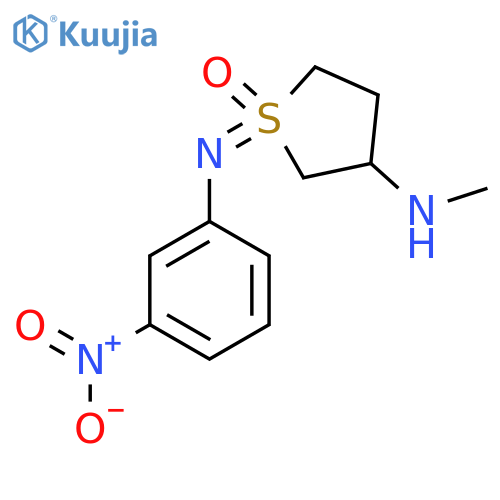 3-(Methylamino)-1-[(3-nitrophenyl)imino]-1lambda6-thiolan-1-one structure