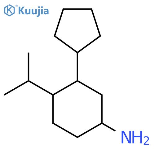 3-Cyclopentyl-4-(propan-2-yl)cyclohexan-1-amine structure