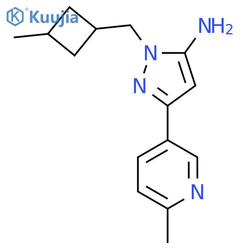1-(3-methylcyclobutyl)methyl-3-(6-methylpyridin-3-yl)-1H-pyrazol-5-amine structure