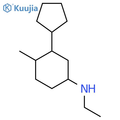 3-cyclopentyl-N-ethyl-4-methylcyclohexan-1-amine structure