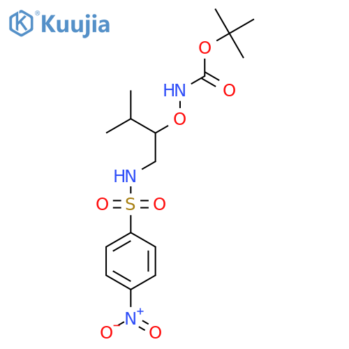tert-butyl N-{3-methyl-1-(4-nitrobenzenesulfonamido)butan-2-yloxy}carbamate structure