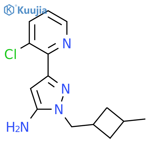 3-(3-chloropyridin-2-yl)-1-(3-methylcyclobutyl)methyl-1H-pyrazol-5-amine structure