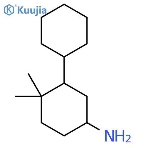 3-Cyclohexyl-4,4-dimethylcyclohexan-1-amine structure