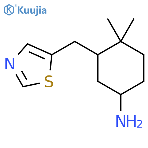 4,4-Dimethyl-3-[(1,3-thiazol-5-yl)methyl]cyclohexan-1-amine structure