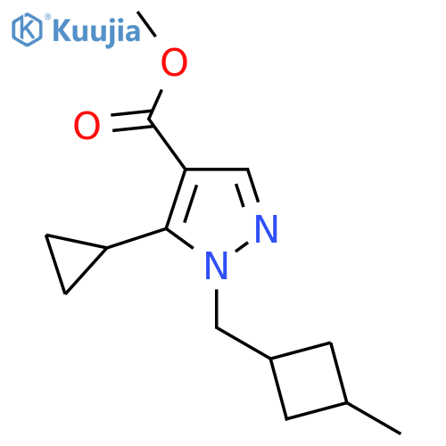 methyl 5-cyclopropyl-1-(3-methylcyclobutyl)methyl-1H-pyrazole-4-carboxylate structure