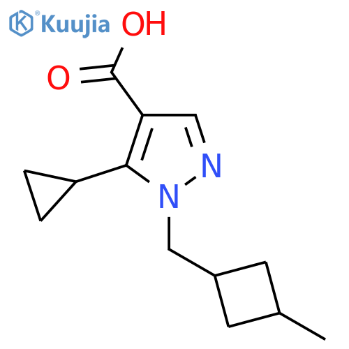 5-cyclopropyl-1-(3-methylcyclobutyl)methyl-1H-pyrazole-4-carboxylic acid structure