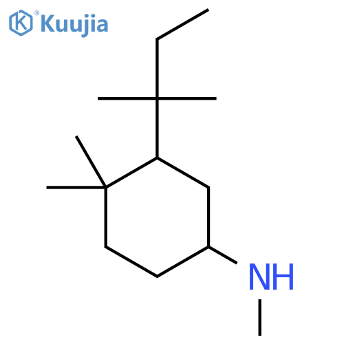 N,4,4-trimethyl-3-(2-methylbutan-2-yl)cyclohexan-1-amine structure