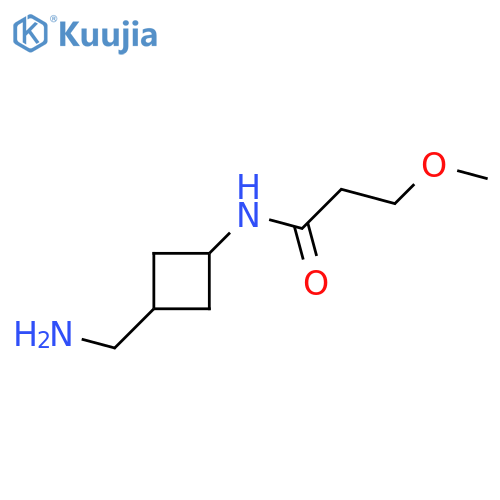 N-[3-(aminomethyl)cyclobutyl]-3-methoxypropanamide structure