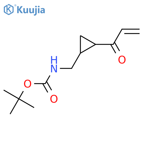 tert-butyl N-{[2-(prop-2-enoyl)cyclopropyl]methyl}carbamate structure