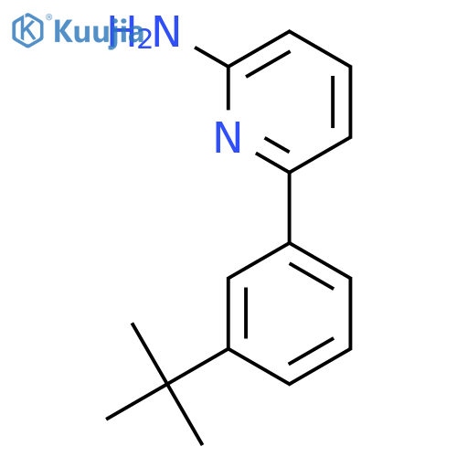 6-(3-Tert-butylphenyl)pyridin-2-amine structure