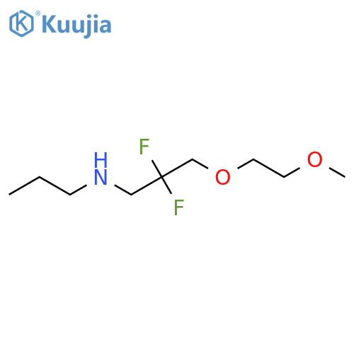 [2,2-Difluoro-3-(2-methoxyethoxy)propyl](propyl)amine structure