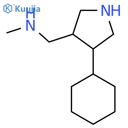 [(4-Cyclohexylpyrrolidin-3-yl)methyl](methyl)amine structure