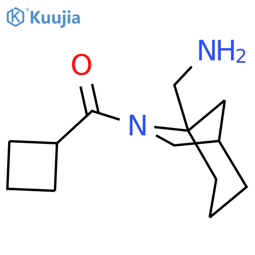 {6-Cyclobutanecarbonyl-6-azabicyclo[3.2.1]octan-5-yl}methanamine structure