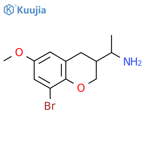 1-(8-bromo-6-methoxy-3,4-dihydro-2H-1-benzopyran-3-yl)ethan-1-amine structure