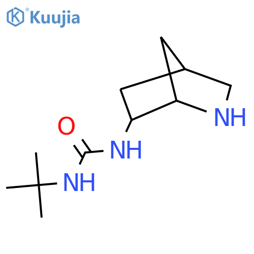 1-{2-Azabicyclo[2.2.1]heptan-6-yl}-3-tert-butylurea structure