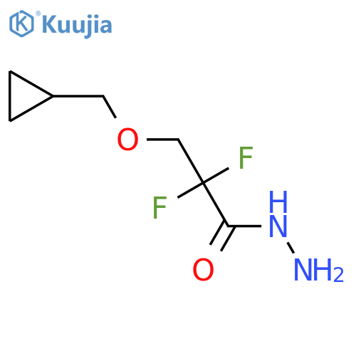 3-(Cyclopropylmethoxy)-2,2-difluoropropanehydrazide structure