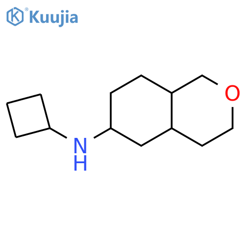 1H-2-Benzopyran-6-amine, N-cyclobutyloctahydro- structure