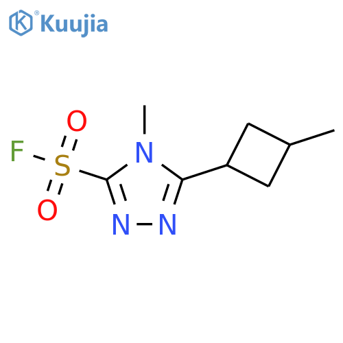 4-methyl-5-(3-methylcyclobutyl)-4H-1,2,4-triazole-3-sulfonyl fluoride structure