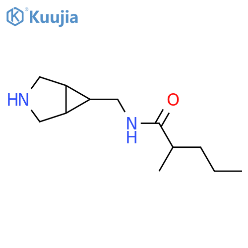 N-({3-azabicyclo[3.1.0]hexan-6-yl}methyl)-2-methylpentanamide structure