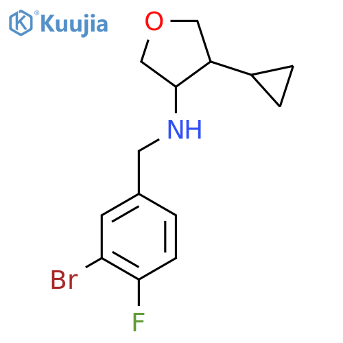 N-[(3-bromo-4-fluorophenyl)methyl]-4-cyclopropyloxolan-3-amine structure