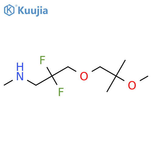 2,2-difluoro-3-(2-methoxy-2-methylpropoxy)-N-methylpropan-1-amine structure