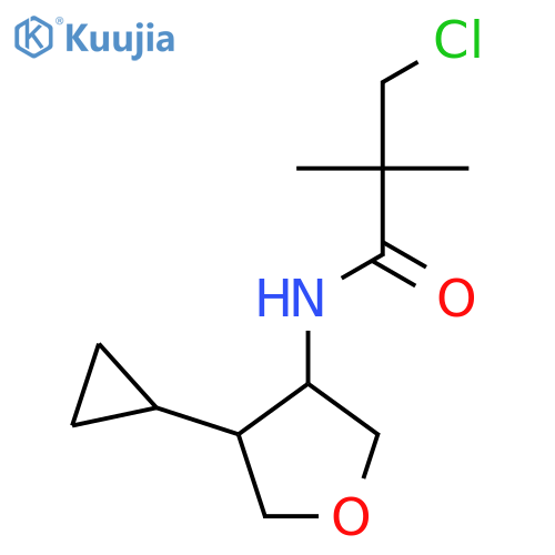 3-chloro-N-(4-cyclopropyloxolan-3-yl)-2,2-dimethylpropanamide structure