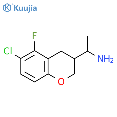 1-(6-chloro-5-fluoro-3,4-dihydro-2H-1-benzopyran-3-yl)ethan-1-amine structure