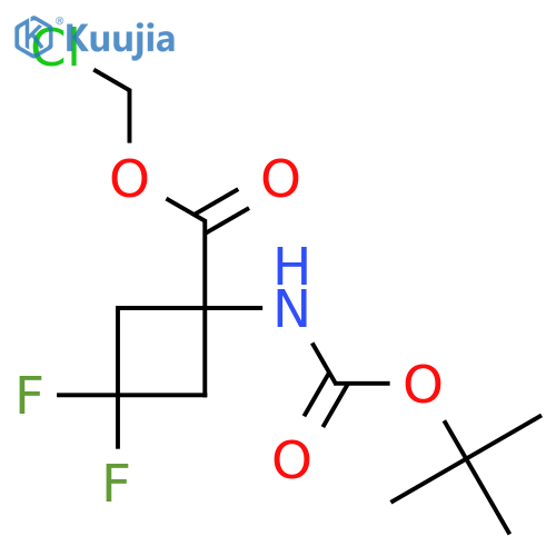 Chloromethyl 3,3-difluoro-1-[(2-methylpropan-2-yl)oxycarbonylamino]cyclobutane-1-carboxylate structure