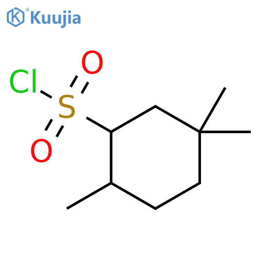 Cyclohexanesulfonyl chloride, 2,5,5-trimethyl- structure