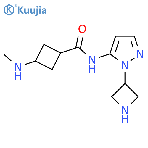 N-1-(azetidin-3-yl)-1H-pyrazol-5-yl-3-(methylamino)cyclobutane-1-carboxamide structure